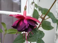 PA020041 - копия.webp