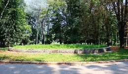 bjcd8c.webp