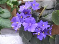 Rainbow's Quiet Riot_спорт_1783.webp