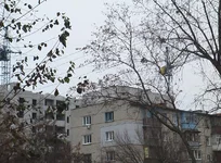 IMGA0097.webp