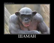 shaman.webp