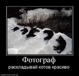 bc-city.com_Изображение_2e028fc2f33e.webp