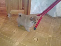 20111110_002.webp