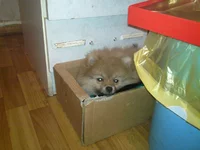 20111113_001.webp