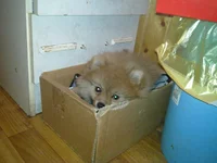 20111113_004.webp