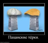 354636_patsanskie-tyorki.webp