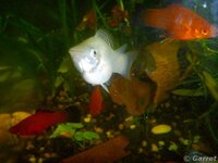 2011-11-09 22-52-00.JPG