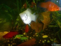 2011-11-09 22-52-00.webp