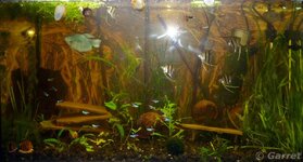 2011-11-01 21-03-26.jpg