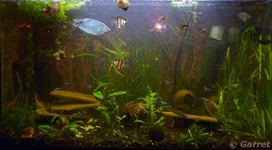 2011-11-01 21-03-46.webp