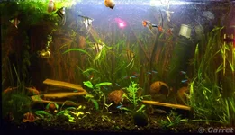 2011-11-01 21-03-56.webp