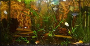 2011-11-09 22-58-06.jpg