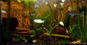 2011-11-09 22-58-26.jpg