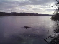18112011088.webp
