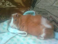 Image0000.webp