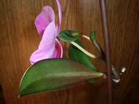 DSC02878_2.webp