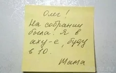 x_55f851ed.jpg