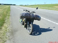 DSCz02466.webp