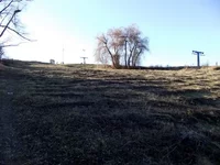 DSCF1615.webp