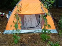 HortizaIsland10.webp