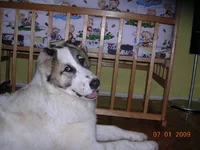 DSCN5431.webp
