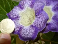 P1020116.JPG