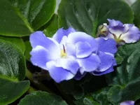 P1020197.JPG