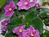 P1020201.JPG