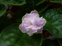 P1020251.JPG