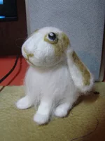 .webp