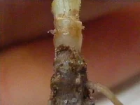 DSCF8765.webp