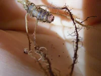 DSCF8743.webp