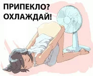 a1dach.webp