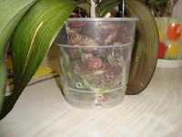 DSC03830_2.webp