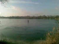 154.webp