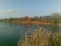 155.webp