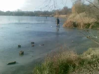 157.webp