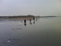 DSC00394.webp DSC00394.webp