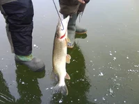 DSC00396.webp DSC00396.webp