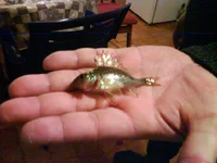 DSC00401.webp DSC00401.webp