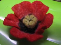 IMG_2488.jpg