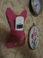 IMG_2484.jpg