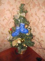 IMG_2503.jpg