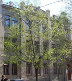  21.webp