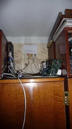 1194.webp