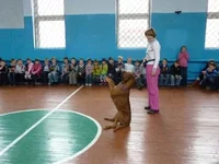 00000317.jpg