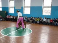00000328.jpg
