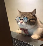 ha1hdb.jpg