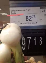 a9gcda.jpg