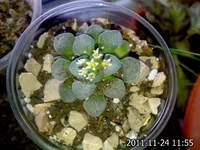 2011-11-24-127.jpg